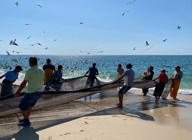 Team of fishers fishing with a net. Photo by Marta Agostinho