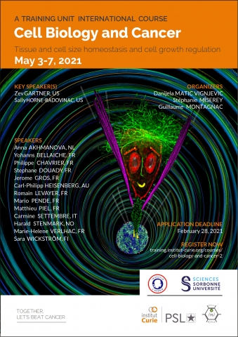 Cell Biology and Cancer Poster