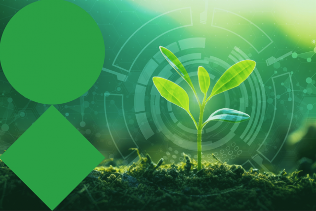 VIB At the forefront of plant research (2nd edition)