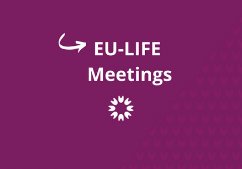 EU-LIFE Strategy meeting 2024