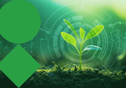 VIB At the forefront of plant research (2nd edition)