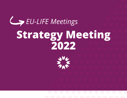 Strategy meeting 2022 banner