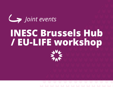 Joint INESC Brussels Hub/EU-LIFE workshop: Research Careers and Research Assessment