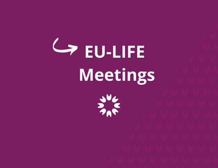 EU-LIFE Strategy meeting 2023