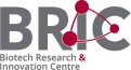BRIC visual identity