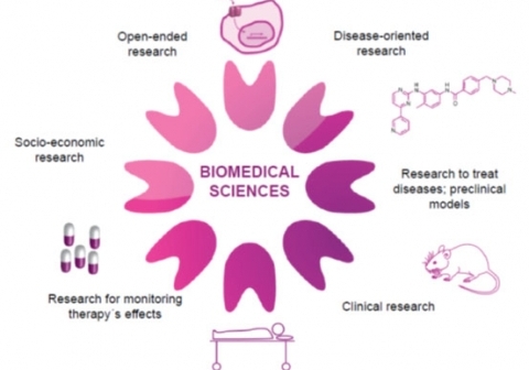 Biomedical sciences