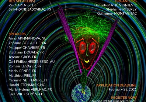 Cell Biology and Cancer Poster