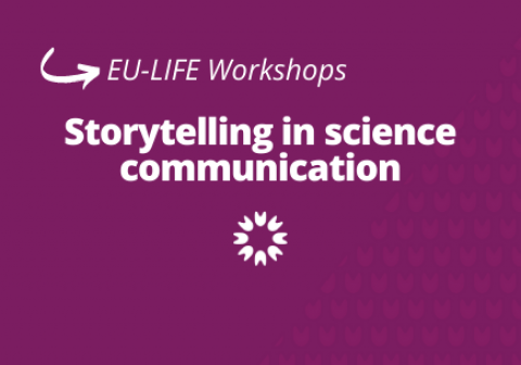 Storytelling workshop banner