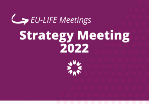 Strategy meeting 2022 banner
