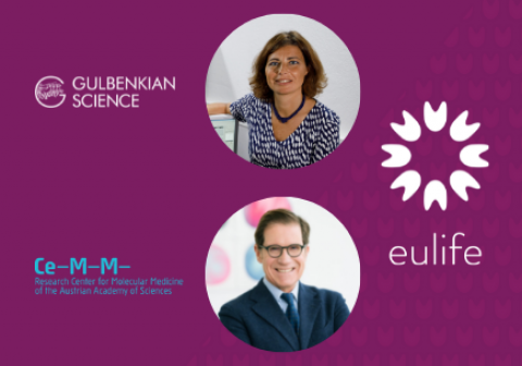 Monica Bettencourt-Dias (IGC) and Giulio Superti-Furga (CeMM), new chair and co-chair of EU-LIFE