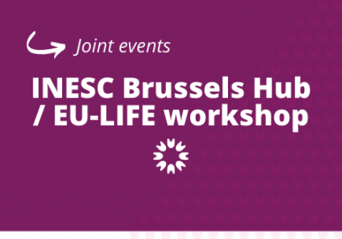 Joint INESC Brussels Hub/EU-LIFE workshop: Research Careers and Research Assessment