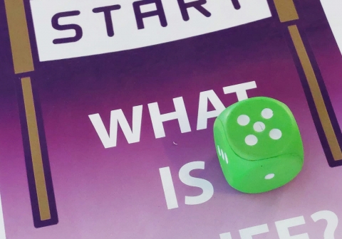 Starting the game: "What is EU-LIFE?"