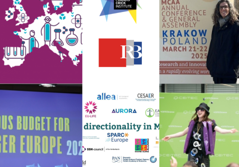 EU-LIFE’s Top Stories of 2025